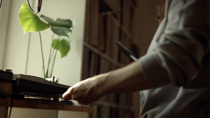 Plant on desk